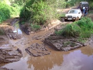 [PICT6855red[1].jpg]